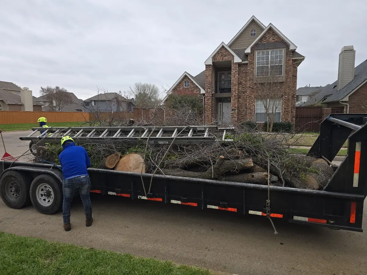 Expert Tree Removal with proper safety equipment in Ironwood